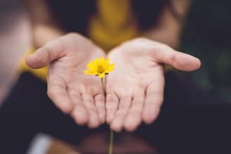 Mindfulness for Lawyers: Tools for Success