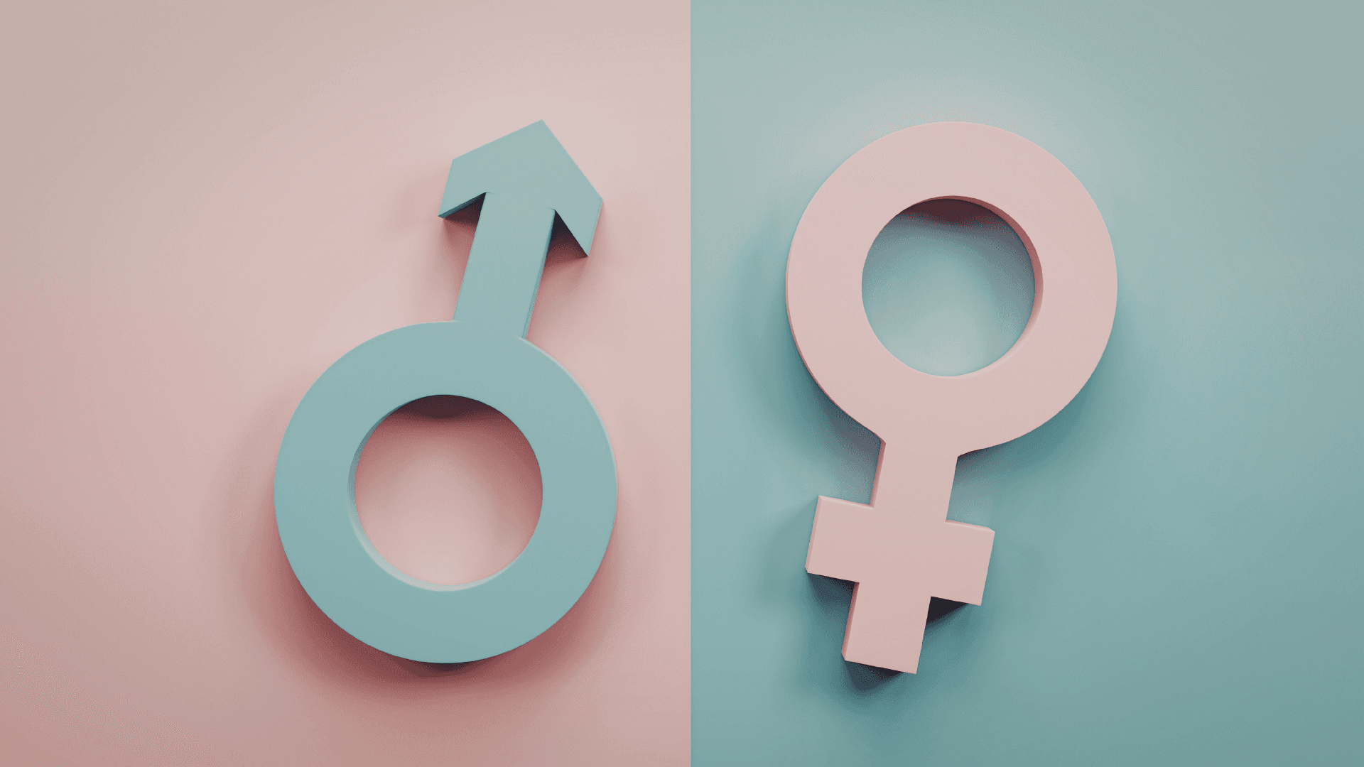 Create a Gender Smart Organization