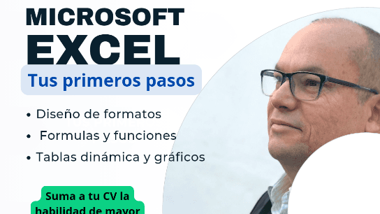 Microsoft Excel for Business - Basic Level