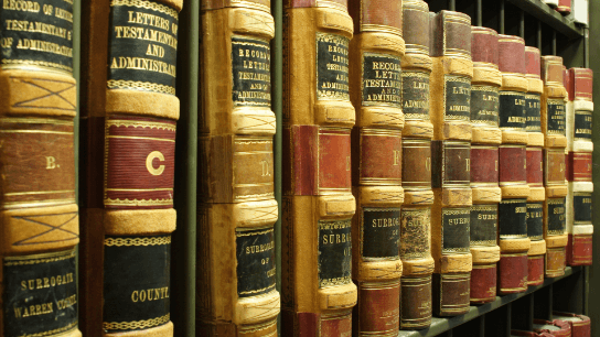 How to Succeed at Written Advocacy