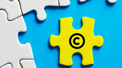 Software Patent Puzzle: Legal Protections in the Digital Age