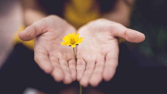 ‘Doing’ Mindfulness With Young Children