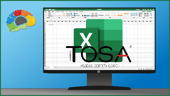 Learning Excel 2019 - Beginner (TOSA)