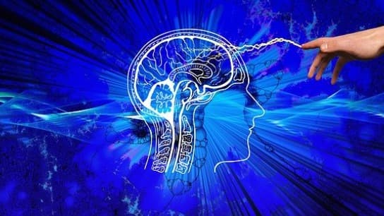 Motivation: Exceptional Success through Brain Performance
