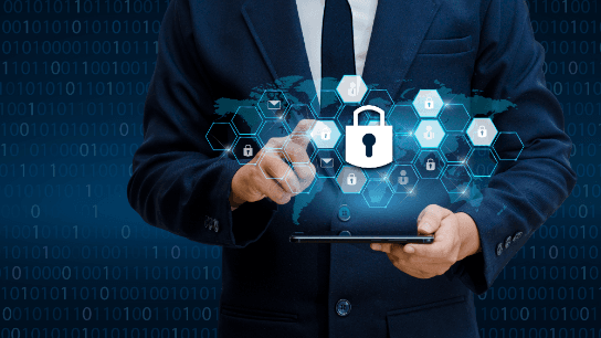 A Primer on Cyber Security Programs and Roles