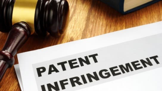 Patent Infringement (US)