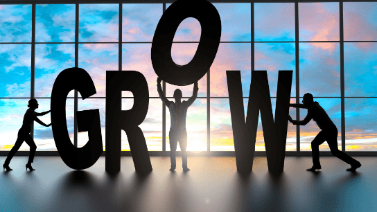 Building a Company: Growing and Organizing Your Team