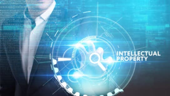 IP Rights Enforcement and Technology Implications