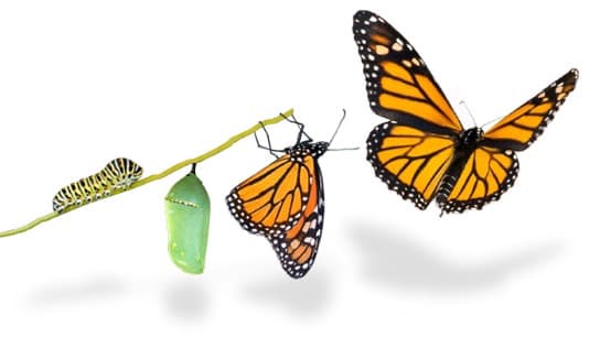 Ignite Life Transformation