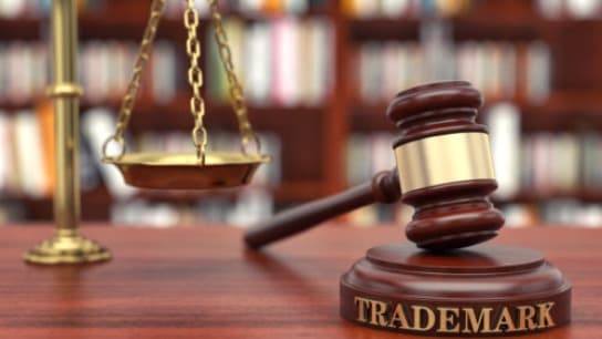 Trademark Modernization Act (US)
