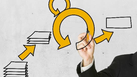 Agile Scrum Master Training: Case Studies and Confessions