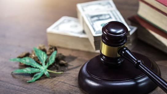 Cannabis Law: Everything You Always Wanted to Know