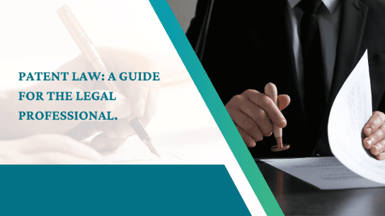 Patent Law: A Guide for the Legal Professional