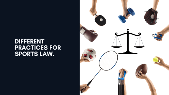 Introduction to Sports Law