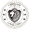 Orbeliani Consulting