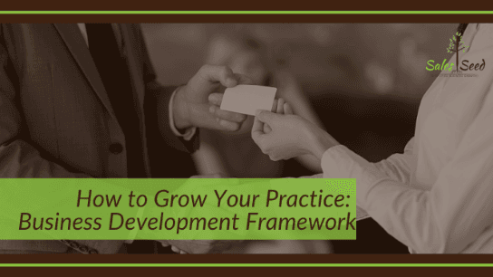 How To Grow Your Practice: Business Development Framework