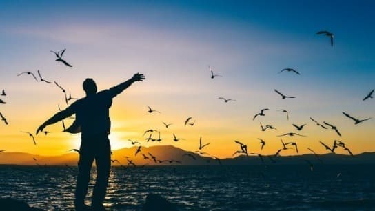 Manage Personal and Business Resilience