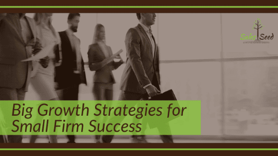 Growth & Marketing Strategies for Small Firms