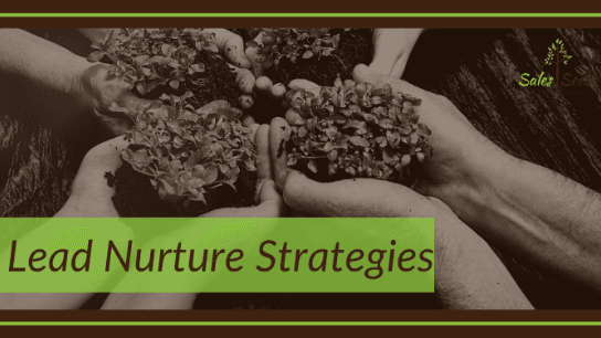Lead Nurture Strategies
