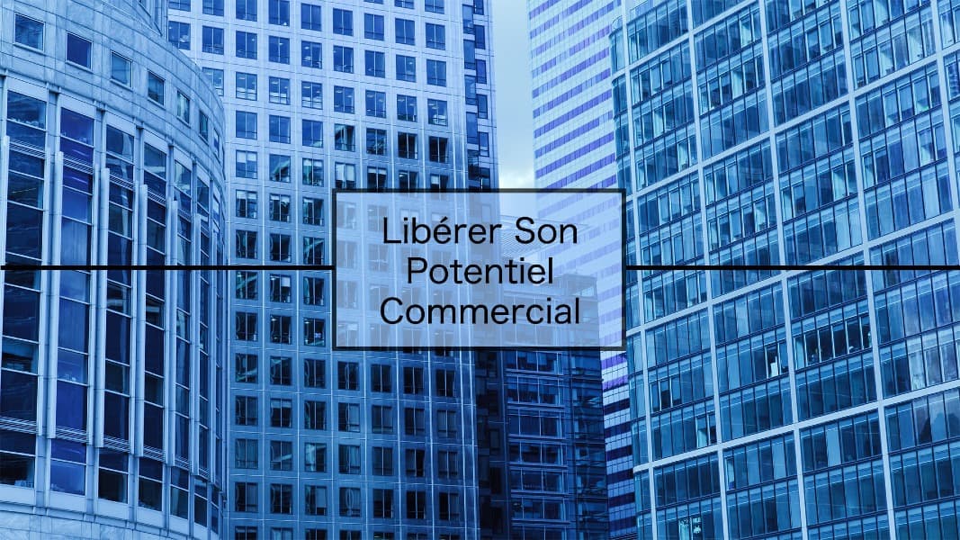 Libérer Son Potentiel Commercial