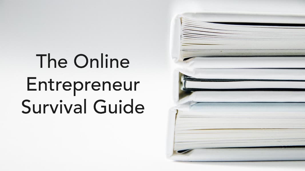 The Online entrepreneur Survival Guide