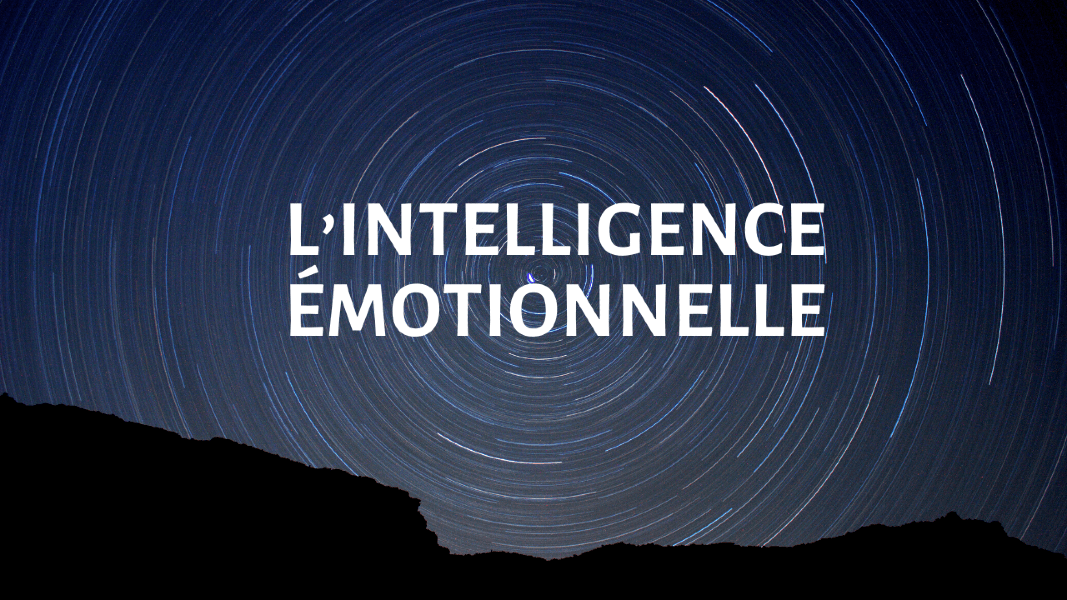 L’intelligence Émotionnelle