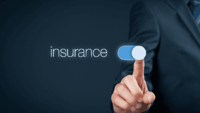 The Economics of Insurance & Investments