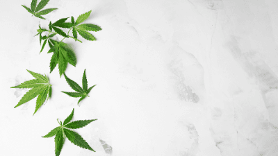 Cannabis Use and Mental Health Considerations