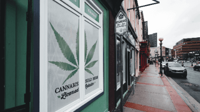 Cannabis Use: Legal and Regulatory Controversies