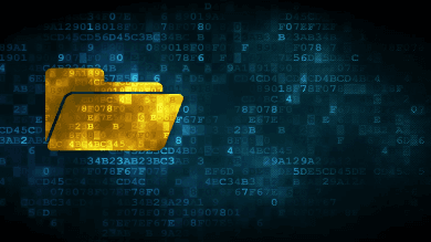 Cracking the (Digital) Case - Digital Forensics for Lawyers
