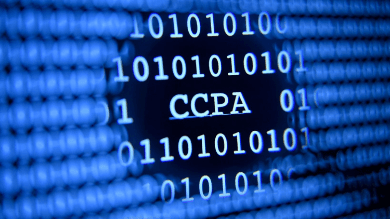 Acronym Soup: CCPA 2023 Year in Review